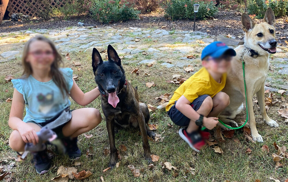 Farragut Tennessee Dog Trainers