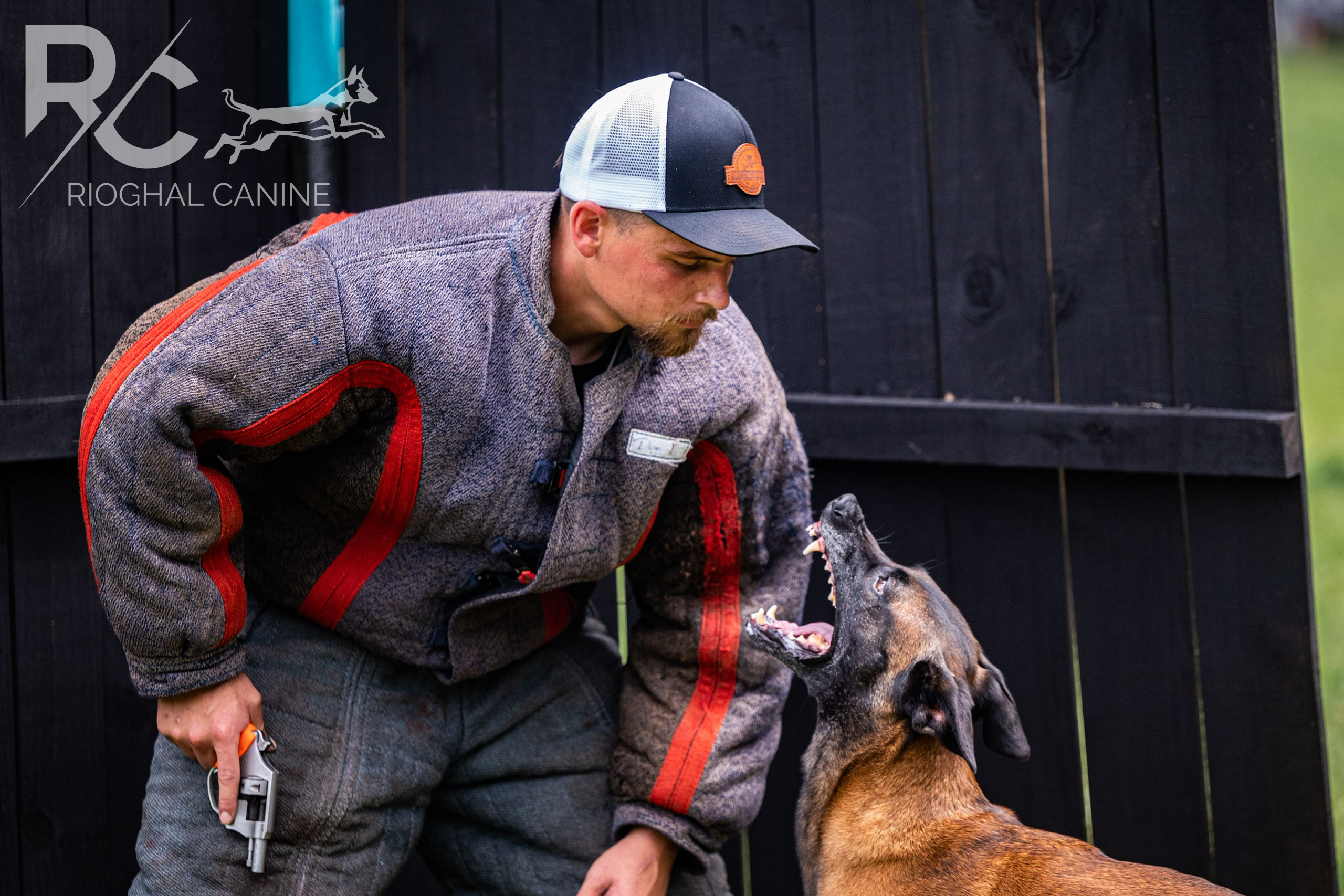 Knoxville Personal protection dog training