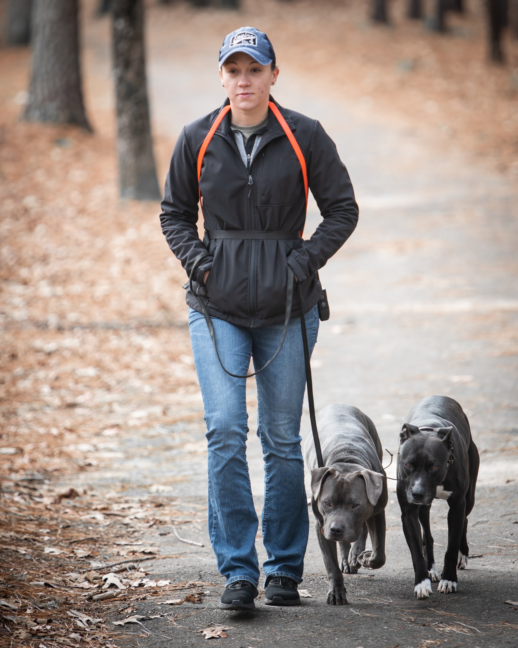 Oak Ridge Dog Trainer